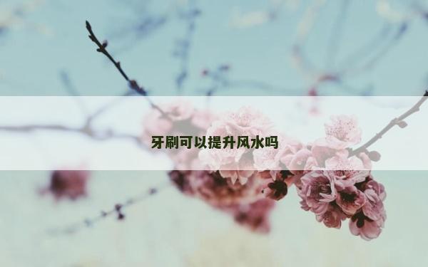牙刷可以提升風水嗎