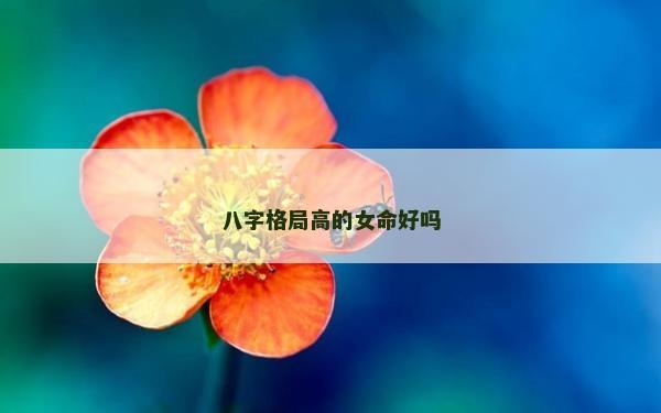 八字格局高的女命好嗎