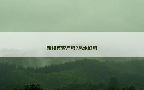 新樓有窗戶嗎?風水好嗎
