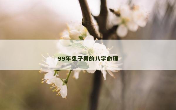 99年兔子男的八字命理