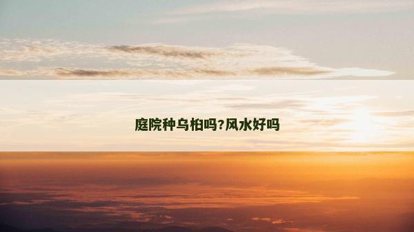 庭院種烏桕嗎?風(fēng)水好嗎