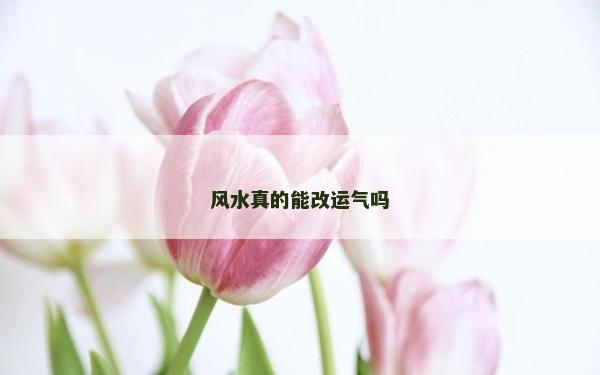 風(fēng)水真的能改運(yùn)氣嗎