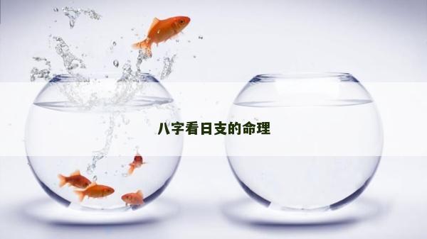 八字看日支的命理 八字看日支的命理