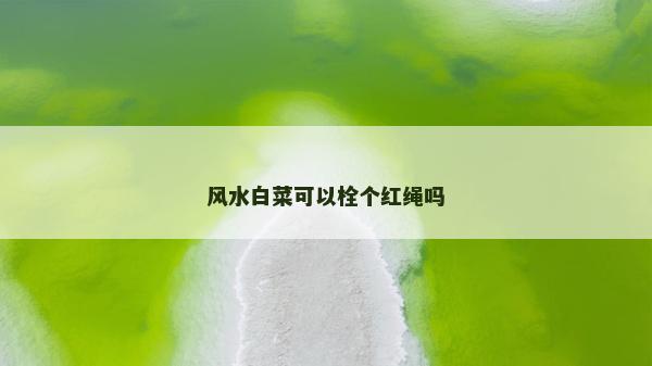 風水白菜可以栓個紅繩嗎