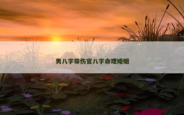 男八字帶傷官八字命理婚姻 男八字帶傷官八字命理婚姻