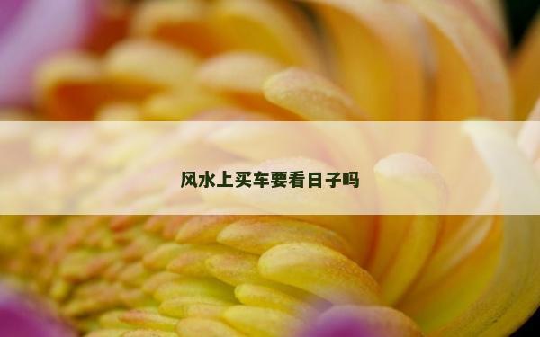 風水上買車要看日子嗎