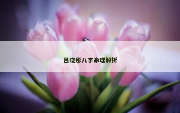 呂曉彤八字命理解析