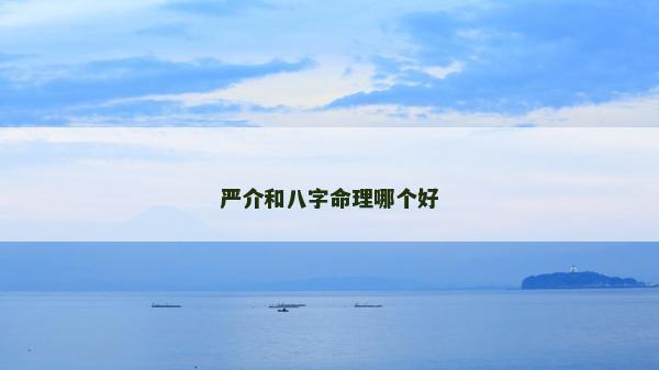 嚴介和八字命理哪個好