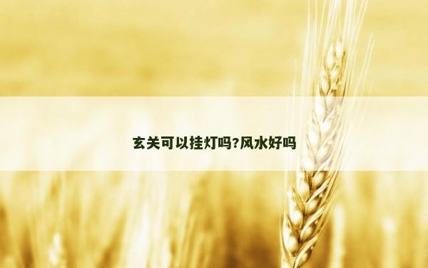 玄關可以掛燈嗎?風水好嗎