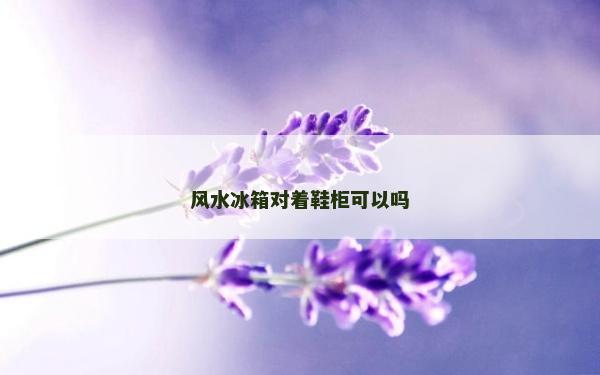 風水冰箱對著鞋柜可以嗎