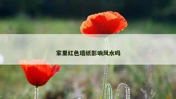 家里紅色墻紙影響風(fēng)水嗎
