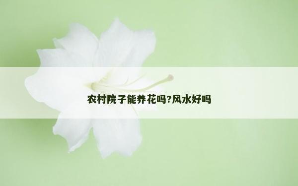 農(nóng)村院子能養(yǎng)花嗎?風(fēng)水好嗎