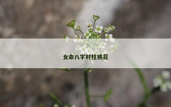 女命八字時柱桃花