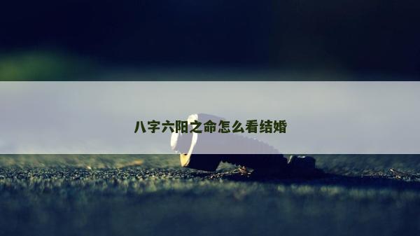 八字六陽之命怎么看結婚 八字六陽之命怎么看結婚