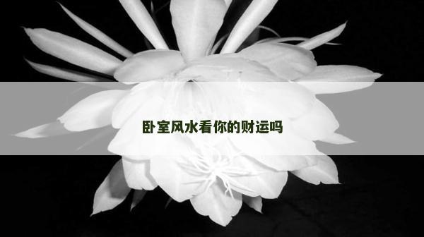 臥室風水看你的財運嗎