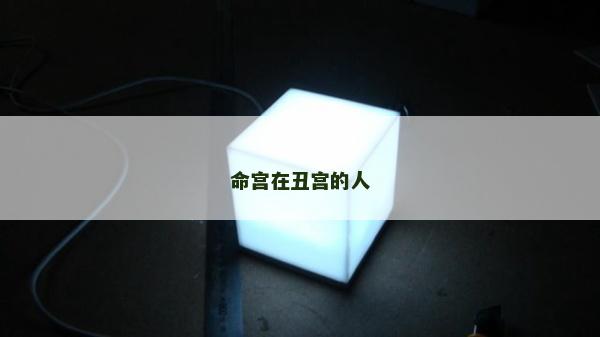 命宮在丑宮的人