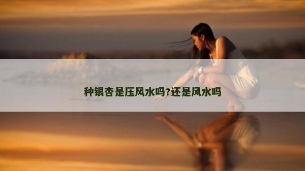 種銀杏是壓風水嗎?還是風水嗎