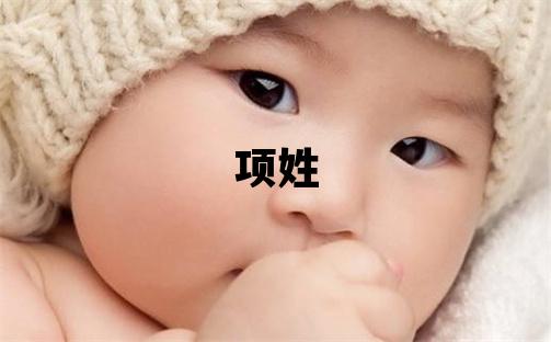 項姓取名洋氣的男寶寶名字