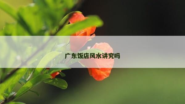 廣東飯店風(fēng)水講究嗎