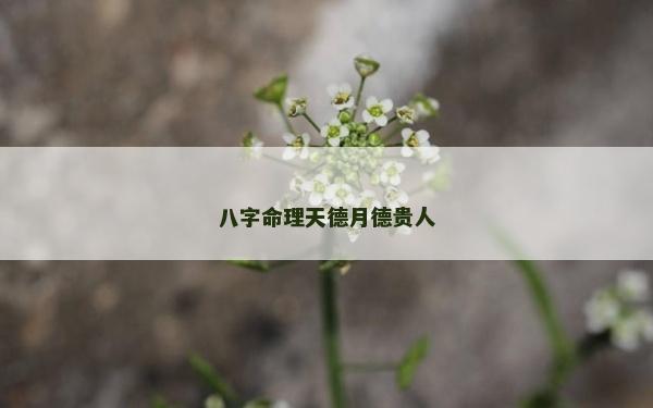 八字命理天德月德貴人