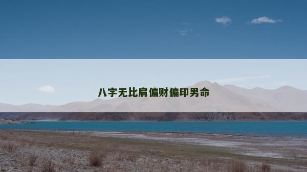 八字無比肩偏財偏印男命