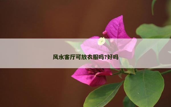 風(fēng)水客廳可放衣服嗎?好嗎