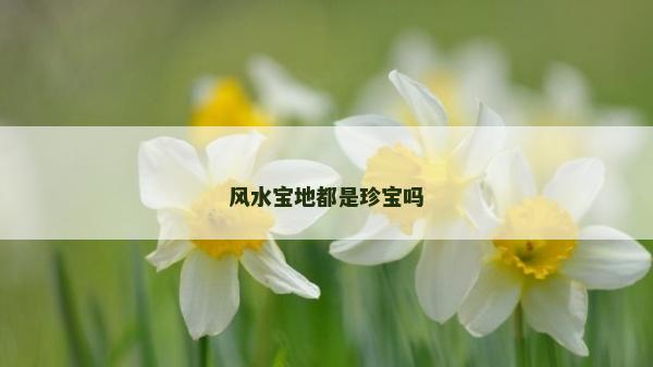風(fēng)水寶地都是珍寶嗎