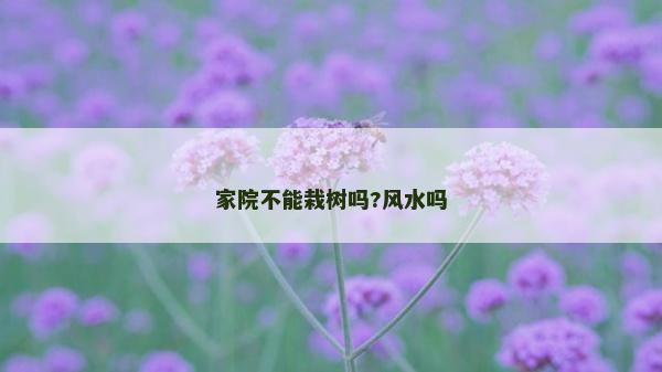 家院不能栽樹嗎?風水嗎