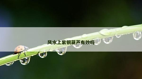 風水上紫銅葫蘆有效嗎