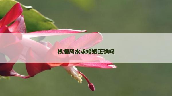 根據風水求婚姻正確嗎