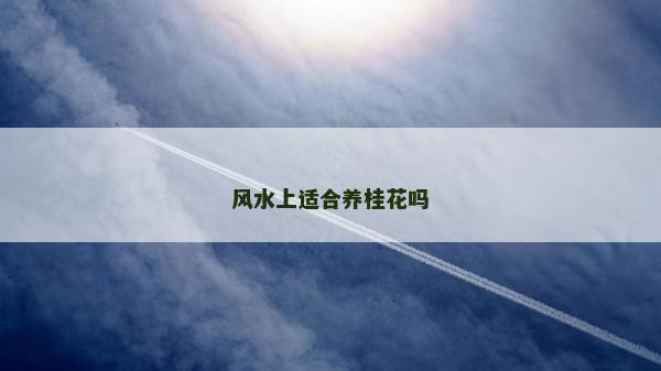 風(fēng)水上適合養(yǎng)桂花嗎