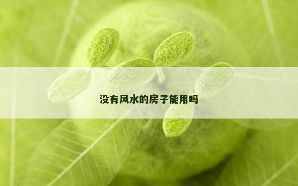 沒有風水的房子能用嗎