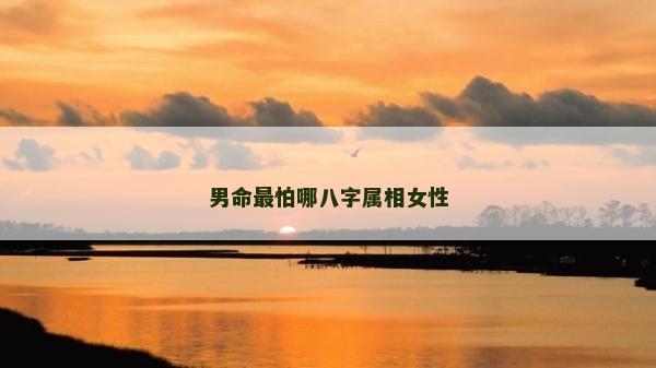 男命最怕哪八字屬相女性