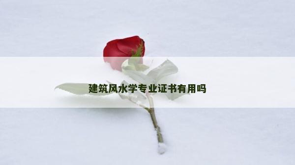 建筑風水學專業證書有用嗎