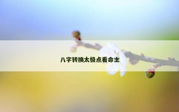 八字轉(zhuǎn)換太極點(diǎn)看命主