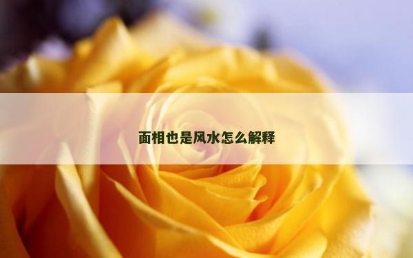 面相也是風水怎么解釋