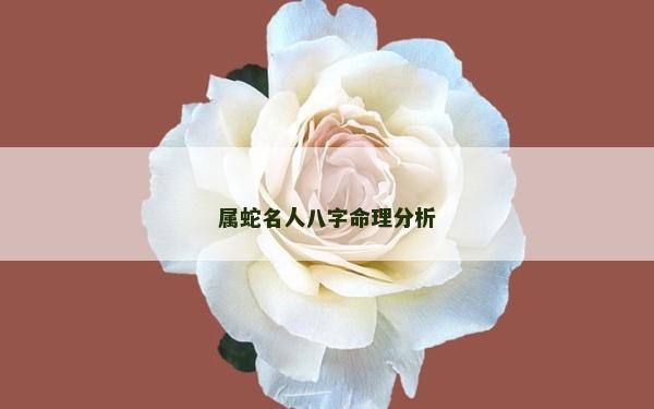 屬蛇名人八字命理分析