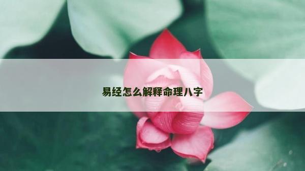 易經怎么解釋命理八字
