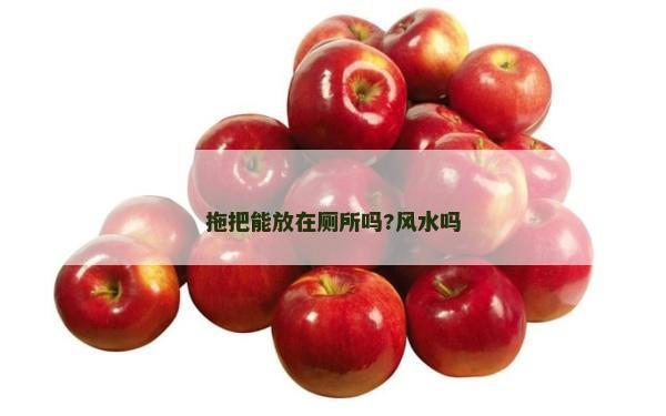 拖把能放在廁所嗎?風水嗎