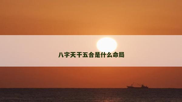八字天干五合是什么命局