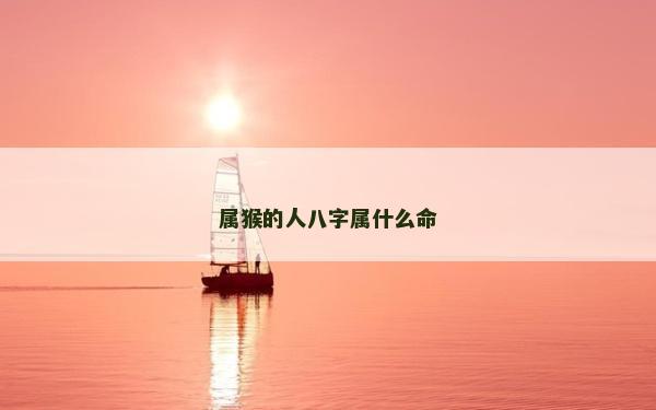屬猴的人八字屬什么命