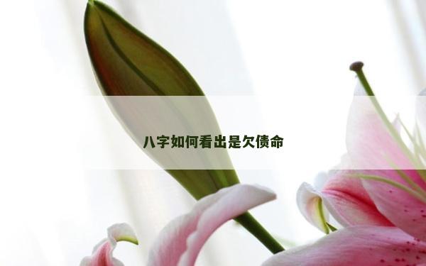 八字如何看出是欠債命