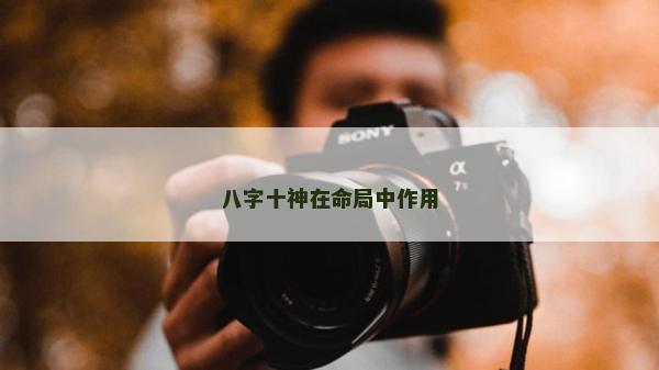 八字十神在命局中作用