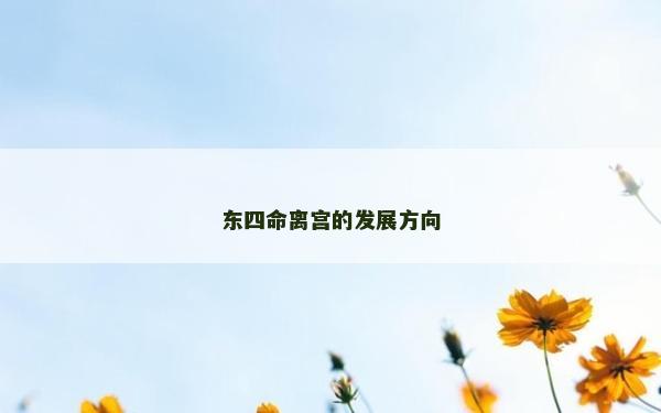 東四命離宮的發展方向
