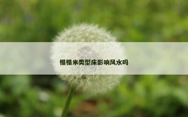 榻榻米類型床影響風水嗎 榻榻米類型床影響風水嗎