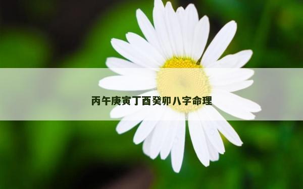丙午庚寅丁酉癸卯八字命理
