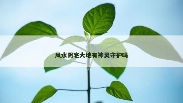風水陰宅大地有神靈守護嗎
