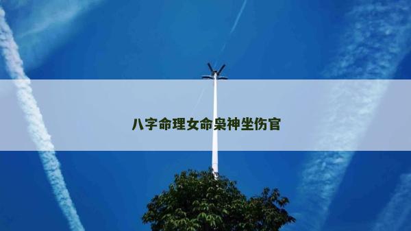 八字命理女命梟神坐傷官