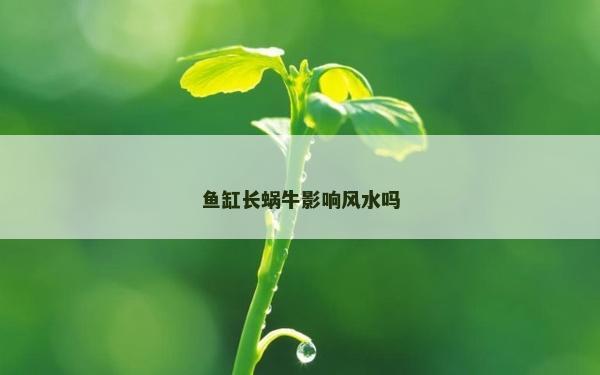 魚缸長蝸牛影響風水嗎