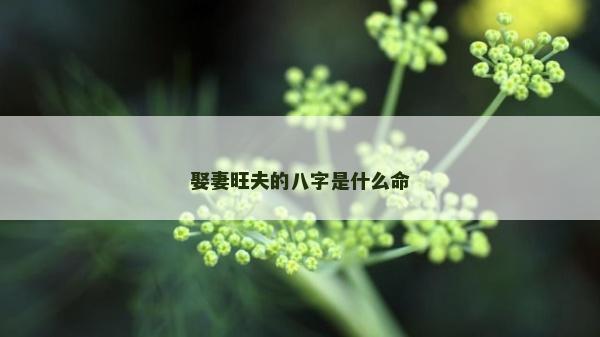 娶妻旺夫的八字是什么命